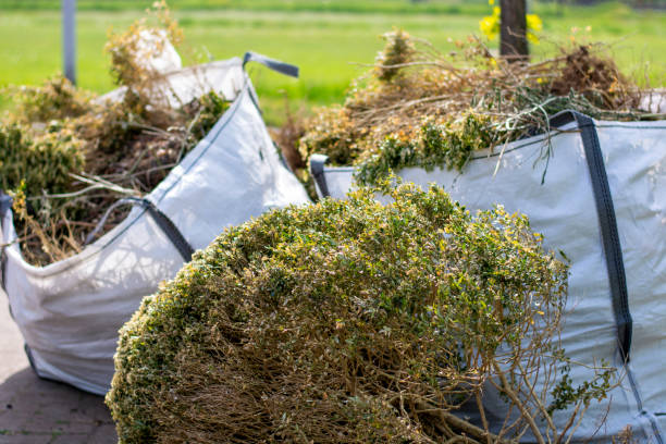 Best Junk Hauling Services  in Walden, NY